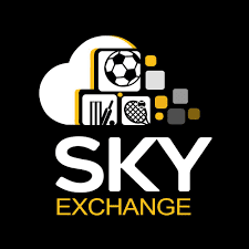 skyexchange.com.in